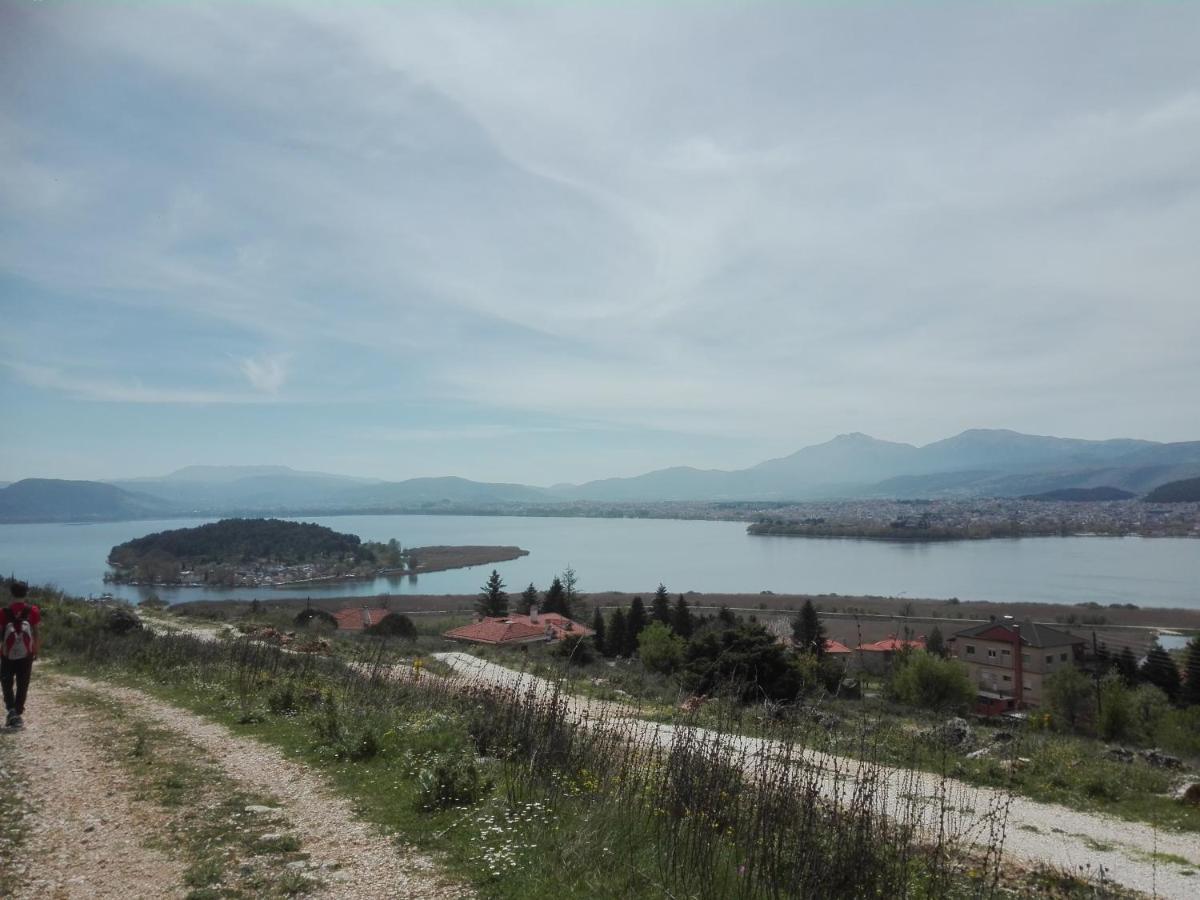 Apartmán House With View In Amfithea Ioánnina Exteriér fotografie